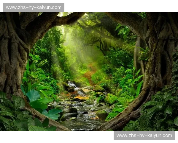 荒野终极博弈：狼的秩序与山猫的孤独，谁才是丛林深处的真正王者？